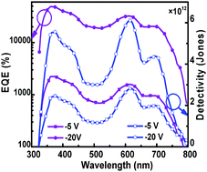 Graphical abstract: All-polymer photodetectors with photomultiplication