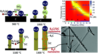 Graphical abstract: Heterointerface engineering of lightweight, worm-like SiC/B4C hybrid nanowires as excellent microwave absorbers