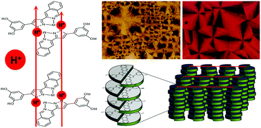Graphical abstract: Lamellar columnar liquid-crystalline mesophases as a 2D platform for anhydrous proton conduction