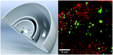 Graphical abstract: Discrete color centers in two-dimensional hexagonal boron nitride induced by fast neutron irradiation