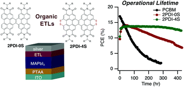 Graphical abstract: Sulfur-fused perylene diimide electron transport layers allow >400 h operational lifetime of methylammonium lead iodide photovoltaics