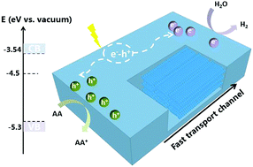 Graphical abstract: Quinacridone-pyridine dicarboxylic acid based donor–acceptor supramolecular nanobelts for significantly enhanced photocatalytic hydrogen production