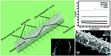 Graphical abstract: CNT coatings grown on the outer and inner surfaces of magnetic hollow carbon fibers with enhanced electromagnetic interference shielding performance