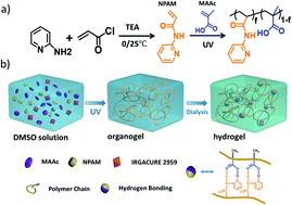Graphical abstract: A novel 3D-printable hydrogel with high mechanical strength and shape memory properties