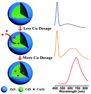 Graphical abstract: Doping of Cu(i) ions into CdS/ZnS core/shell nanocrystals through a cation exchange strategy