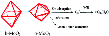 Graphical abstract: Effect of the phase structure on the catalytic activity of MoO3 and potential application for indoor clearance