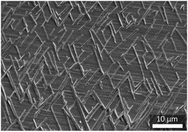 Graphical abstract: Epitaxial growth of light-responsive azobenzene molecular crystal actuators on oriented polyethylene films