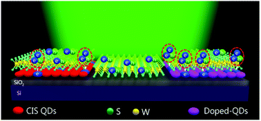 Graphical abstract: Aluminium and zinc co-doped CuInS2 QDs for enhanced trion modulation in monolayer WS2 toward improved electrical properties