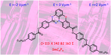 Graphical abstract: Photoconductive bent-core liquid crystalline radicals with a paramagnetic polar switchable phase