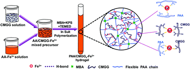 Graphical abstract: Development of high-strength, tough, and self-healing carboxymethyl guar gum-based hydrogels for human motion detection