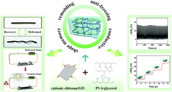 Graphical abstract: Thermo-responsive shape memory sensors based on tough, remolding and anti-freezing hydrogels