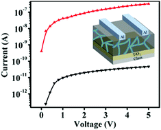 Graphical abstract: Triple cation perovskite doped with the small molecule F4TCNQ for highly efficient stable photodetectors