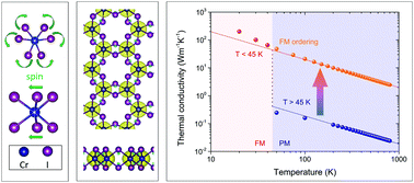 Graphical abstract: Giant effect of spin–lattice coupling on the thermal transport in two-dimensional ferromagnetic CrI3