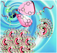 Graphical abstract: Superhelices with tunable twisting power directed from supramolecular pairing of focal asymmetry in achiral dendron-jacketed block copolymers