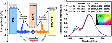 Graphical abstract: A new strategy for structuring white organic light-emitting diodes by combining complementary emissions in the same interface