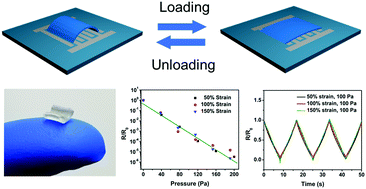 Graphical abstract: A multidimensional hierarchical structure designed for lateral strain-isolated ultrasensitive pressure sensing