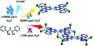 Graphical abstract: Controlling the nuclearity and topology of cobalt complexes through hydration at the ppm level