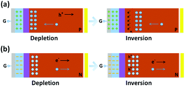 Graphical abstract: Hysteresis effects on carrier transport and photoresponse characteristics in hybrid perovskites