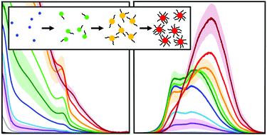 Graphical abstract: Surface ligation stage revealed through polarity-dependent fluorescence during perovskite nanocrystal growth