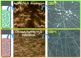 Graphical abstract: One-step aqueous fabrication of a silver nanowire composite transparent conductive film with high uniformity and stability