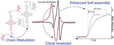 Graphical abstract: Chiral inversion and enhanced cooperative self-assembly of biosurfactant-functionalized porphyrin chromophores