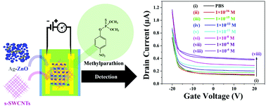 Graphical abstract: Highly selective detection of an organophosphorus pesticide, methyl parathion, using Ag–ZnO–SWCNT based field-effect transistors