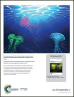 Graphical abstract: Inside back cover