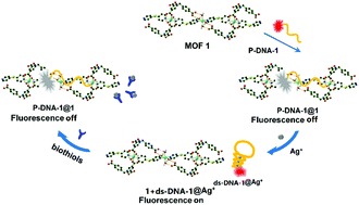 Graphical abstract: Sequential Ag+/biothiol and synchronous Ag+/Hg2+ biosensing with zwitterionic Cu2+-based metal–organic frameworks