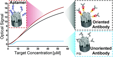 Graphical abstract: Aptamers vs. antibodies as capture probes in optical porous silicon biosensors