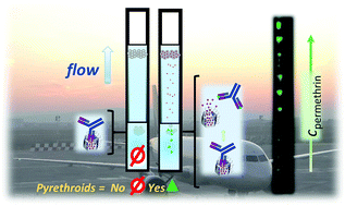 Graphical abstract: Development of a lateral flow test for rapid pyrethroid detection using antibody-gated indicator-releasing hybrid materials