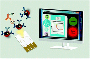 Graphical abstract: An on-chip microfluidic-based electrochemical magneto-immunoassay for the determination of procalcitonin in plasma obtained from sepsis diagnosed preterm neonates