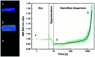Graphical abstract: Employing photoluminescence to rapidly follow aggregation and dispersion of cellulose nanofibrils