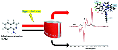 Graphical abstract: Analysis of 1-aminoisoquinoline using the signal amplification by reversible exchange hyperpolarization technique