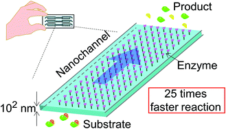 Graphical abstract: Picoliter enzyme reactor on a nanofluidic device exceeding the bulk reaction rate