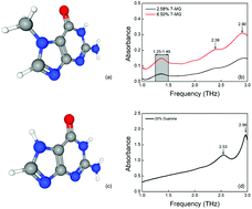 Graphical abstract: Molecular methylation detection based on terahertz metamaterial technology