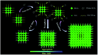 Graphical abstract: Fluorescent methylammonium lead halide perovskite quantum dots as a sensing material for the detection of polar organochlorine pesticide residues