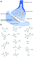 Graphical abstract: Real-time in vivo detection techniques for neurotransmitters: a review