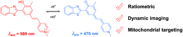 Graphical abstract: A novel ratiometric fluorescent probe for the detection of mitochondrial pH dynamics during cell damage