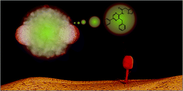 Graphical abstract: Phage-based biosensors: in vivo analysis of native T4 phage promoters to enhance reporter enzyme expression