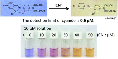 Graphical abstract: A new chemosensor for cyanide in blood based on the Pd complex of 2-(5-bromo-2-pyridylazo)-5-[N-n-propyl-N-(3-sulfopropyl)amino]phenol
