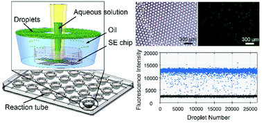 Graphical abstract: Massive droplet generation for digital PCR via a smart step emulsification chip integrated in a reaction tube