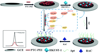 Graphical abstract: A highly-enhanced electrochemiluminescence luminophore generated by a metal–organic framework-linked perylene derivative and its application for ractopamine assay