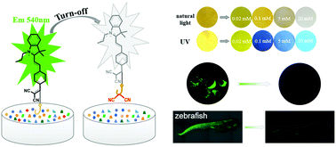 Graphical abstract: A Michael addition reaction-based fluorescent probe for malononitrile detection and its applications in aqueous solution, living cells and zebrafish