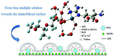 Graphical abstract: Mechanistic aspects of functional layer formation in hybrid one-step designed GOx/Nafion/Pd-NPs nanobiosensors