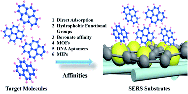 Graphical abstract: Development of affinity between target analytes and substrates in surface enhanced Raman spectroscopy for environmental pollutant detection