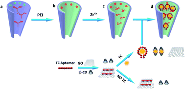 Graphical abstract: A nanofluidic device for ultrasensitive and label-free detection of tetracycline in association with γ-cyclodextrin and GO