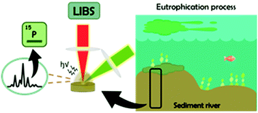 Graphical abstract: Total phosphorus determination in eutrophic tropical river sediments by laser-induced breakdown spectroscopy techniques