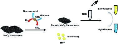 Graphical abstract: Colorimetric glucose sensing with multiple-color changes by using a MnO2 NSs–TMB nanosystem