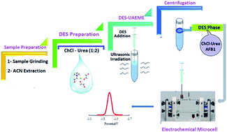 Graphical abstract: Deep eutectic solvent based ultrasound assisted emulsification microextraction for preconcentration and voltammetric determination of aflatoxin B1 in cereal samples