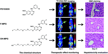 Graphical abstract: Novel anilino quinazoline-based EGFR tyrosine kinase inhibitors for treatment of non-small cell lung cancer